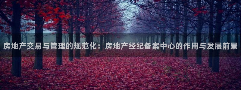 新宝5如何注册登录：房地产交易与管理的规范化：房地产经纪备案