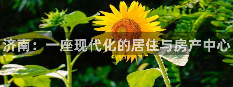 新宝5谠631257：济南：一座现代化的居住与房产中心