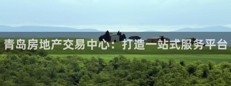 新宝5蒋74OOO5：青岛房地产交易中心：打造一站式服务平台