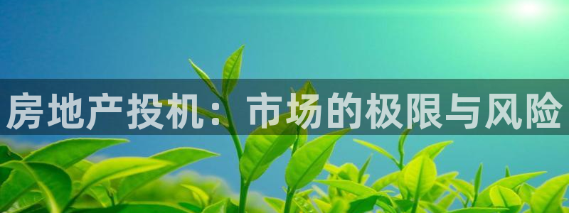 股票5G宝新：房地产投机：市场的极限与风险