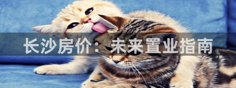 新宝5日：长沙房价：未来置业指南