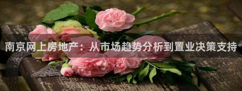 新宝5找找74OOO5：南京网上房地产：从市场趋势分析到置业