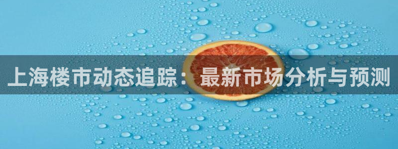 新宝5登陆地址：上海楼市动态追踪：最新市场分析与预测