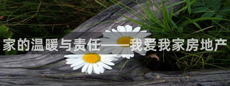 新宝5吴74OOO5：家的温暖与责任——我爱我家房地产