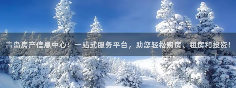 新宝5玩法：青岛房产信息中心：一站式服务平台，助您轻松购房、