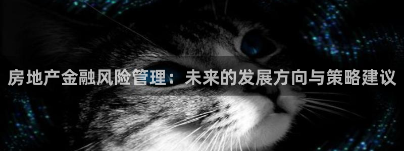 新宝6霸哥5：房地产金融风险管理：未来的发展方向与策略建议